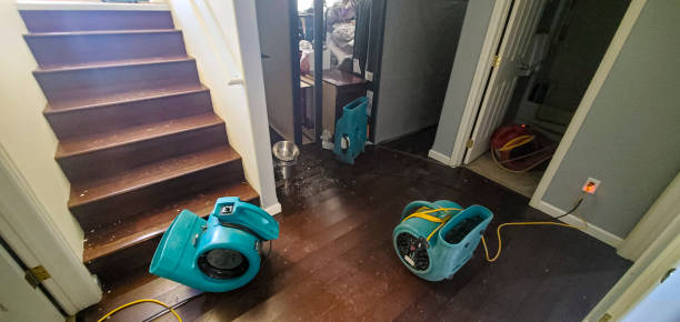 Best Local water damage restoration  in Bass Lake, IN