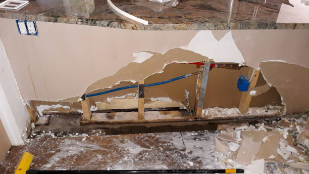 Best Flood restoration services  in Bass Lake, IN