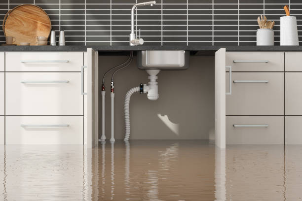 Best Commercial water damage restoration  in Bass Lake, IN
