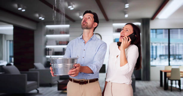 Best Ceiling water damage repair  in Bass Lake, IN